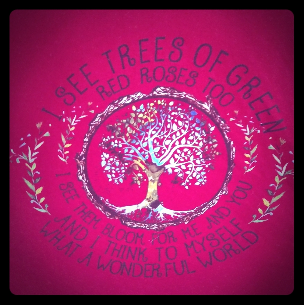 "What a Wonderful World" Womens T-Shirt